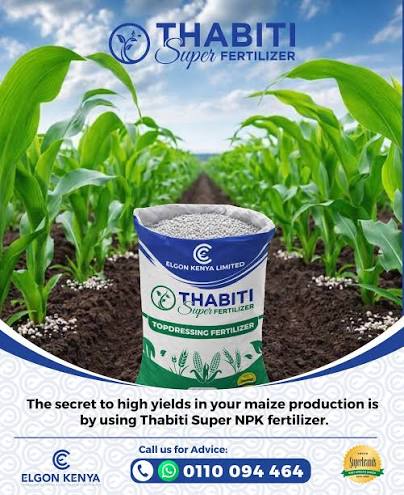 NPK 17-17-17 Compound Fertilizer