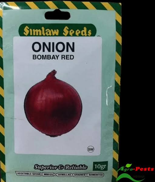 Red Bombay Onion Seeds