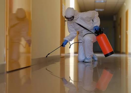 Affordable pest control