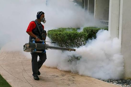 pest control in nairobi